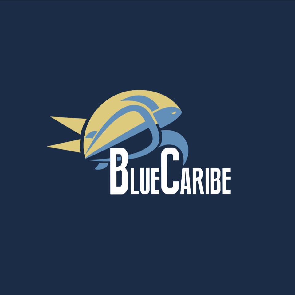 Blue Caribe Tours