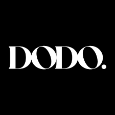 dodoskin