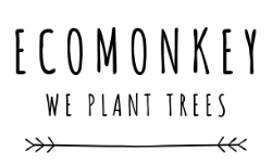 Ecomonkey