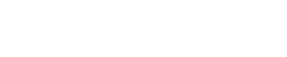 Lion Spirits