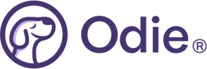 Odie Pet Insurance