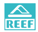 Reef Sandals