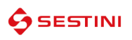 Sestini