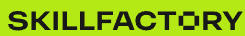 Skillfactory