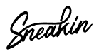sneakin-nl