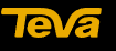 Teva IT