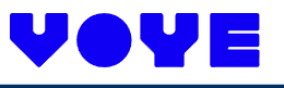 voyeglobal